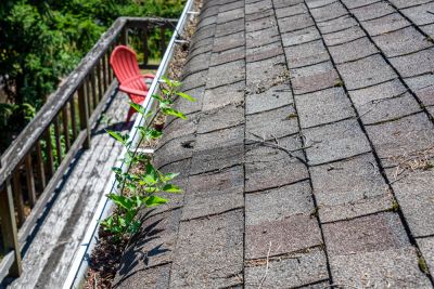 Cleaning Roof Shingles - Property Cleanup Whiting, Indiana
