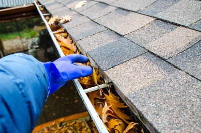 Gutter Leaf Removal - Property Cleanup Whiting, Indiana