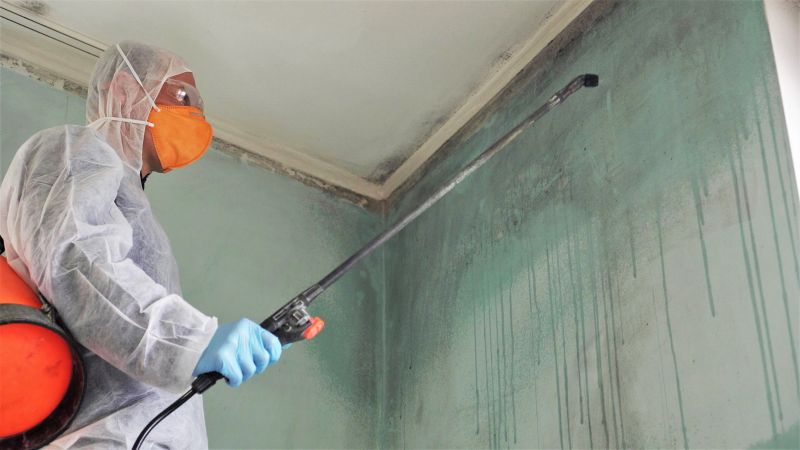 Air Duct Mold Removal in Broward County, FL