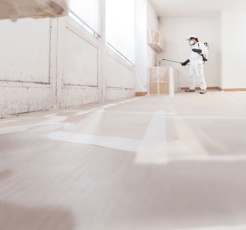 Crawl Space Mold Removal in Frisco, TX
