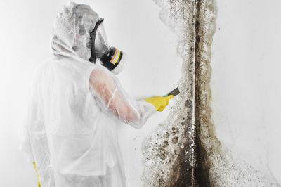 Mold Abatement Service in Boca Raton, FL
