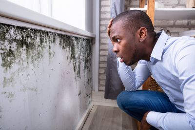 Mold Control in Weatherford, TX