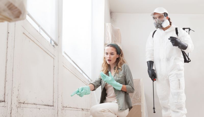 Mold Treatment Service in Jupiter, FL