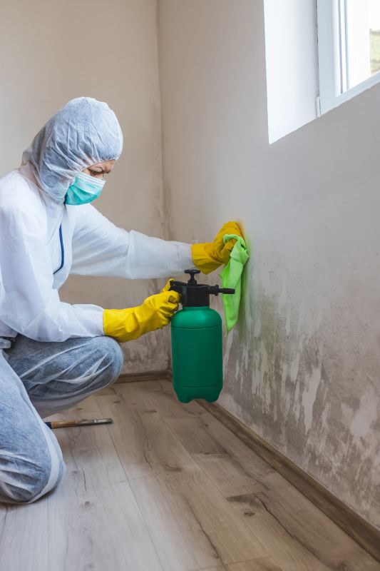 White Mold Mitigation in Dallas, TX