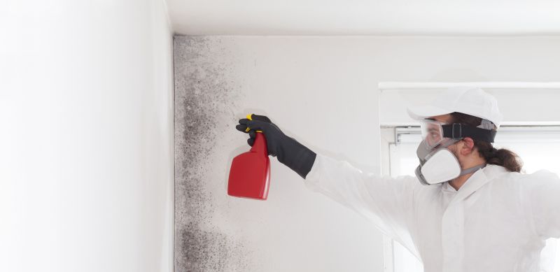 White Mold Mitigation in Frisco, TX