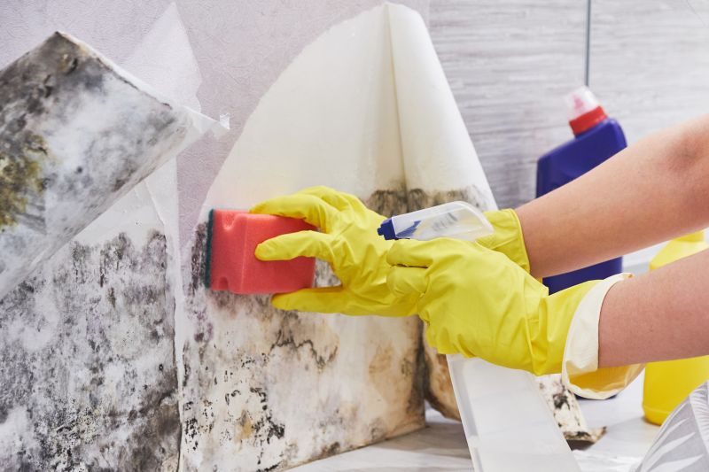 Attic Mold Remediation in Bergen County, NJ