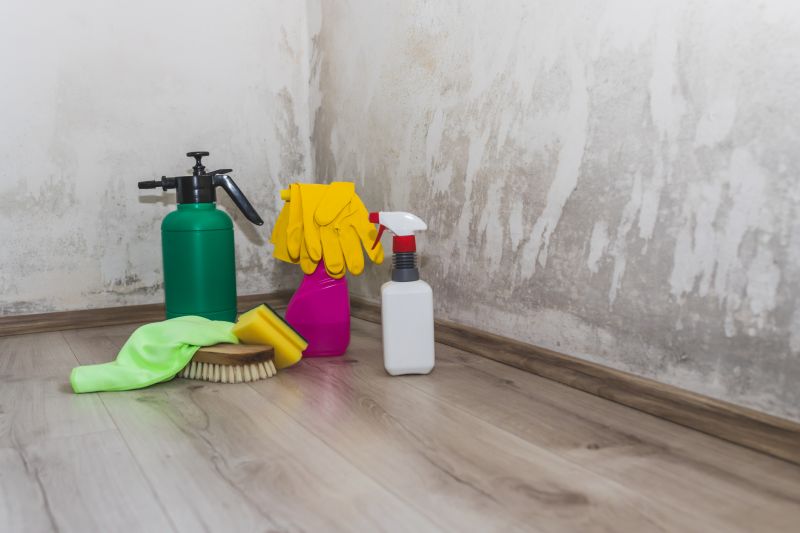 Basement Mold Remediation in West Palm Beach, FL