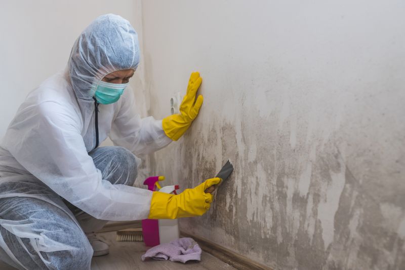 Crawl Space Mold Removal in Broward County, FL