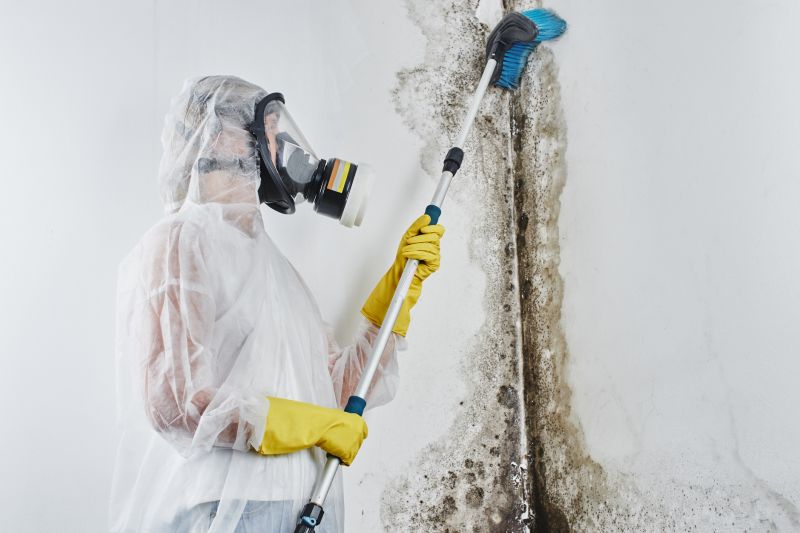 Crawlspace Mold Remediation in Frisco, TX