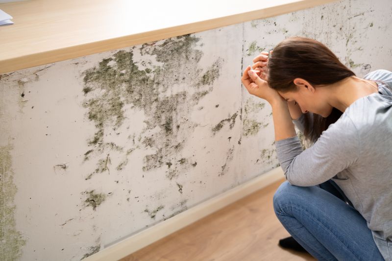 Mold Abatement in Fort Lauderdale, FL