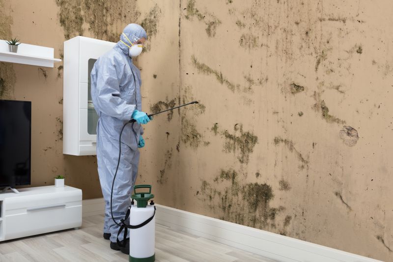 Mold Control in Boynton Beach, FL