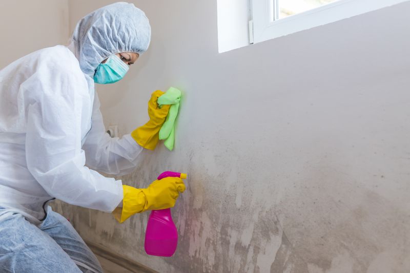 Mold Restoration in Essex County, NJ